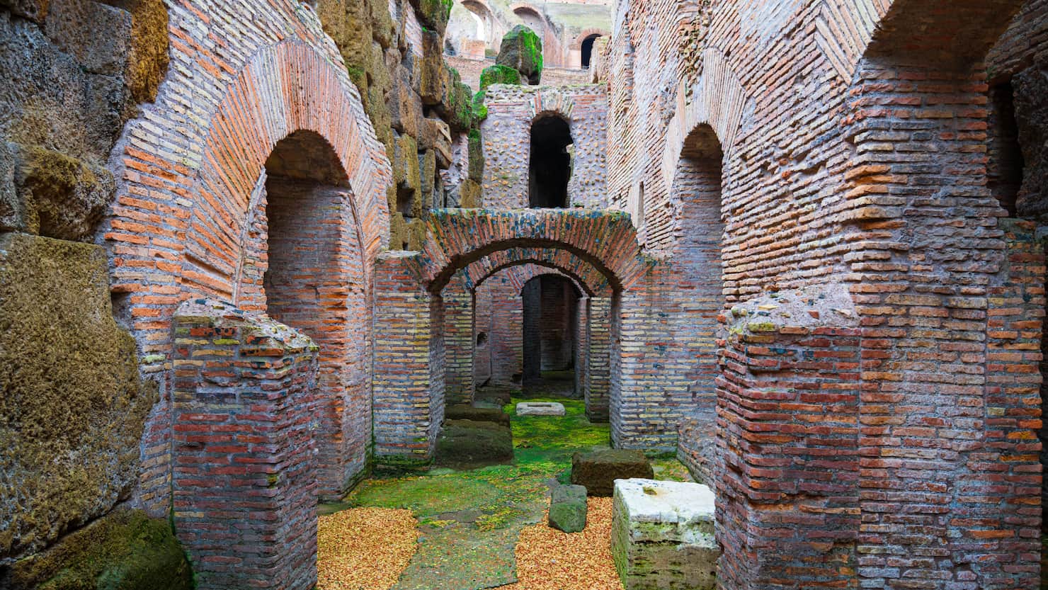 Sotterranei del Colosseo