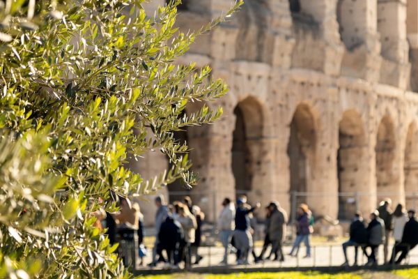 cuándo visitar el coliseo